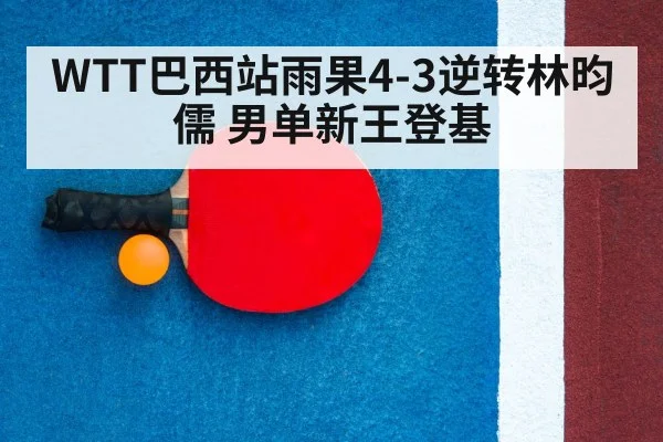 ping pong racket